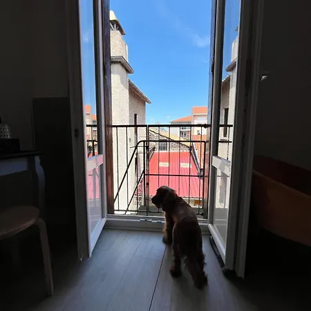 Du Nord - Ville-haute